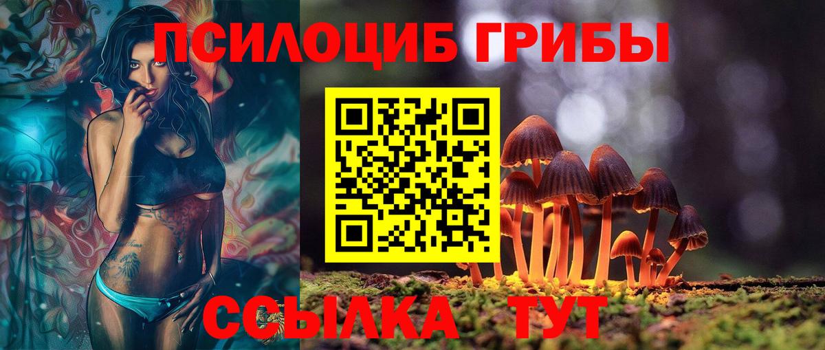Псилоцибиновые грибы ЛСД Тобольск
